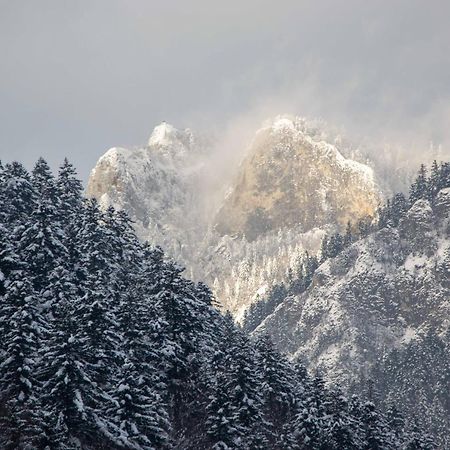 Ubytovanie U Jozefa Červený Kláštor Extérieur photo